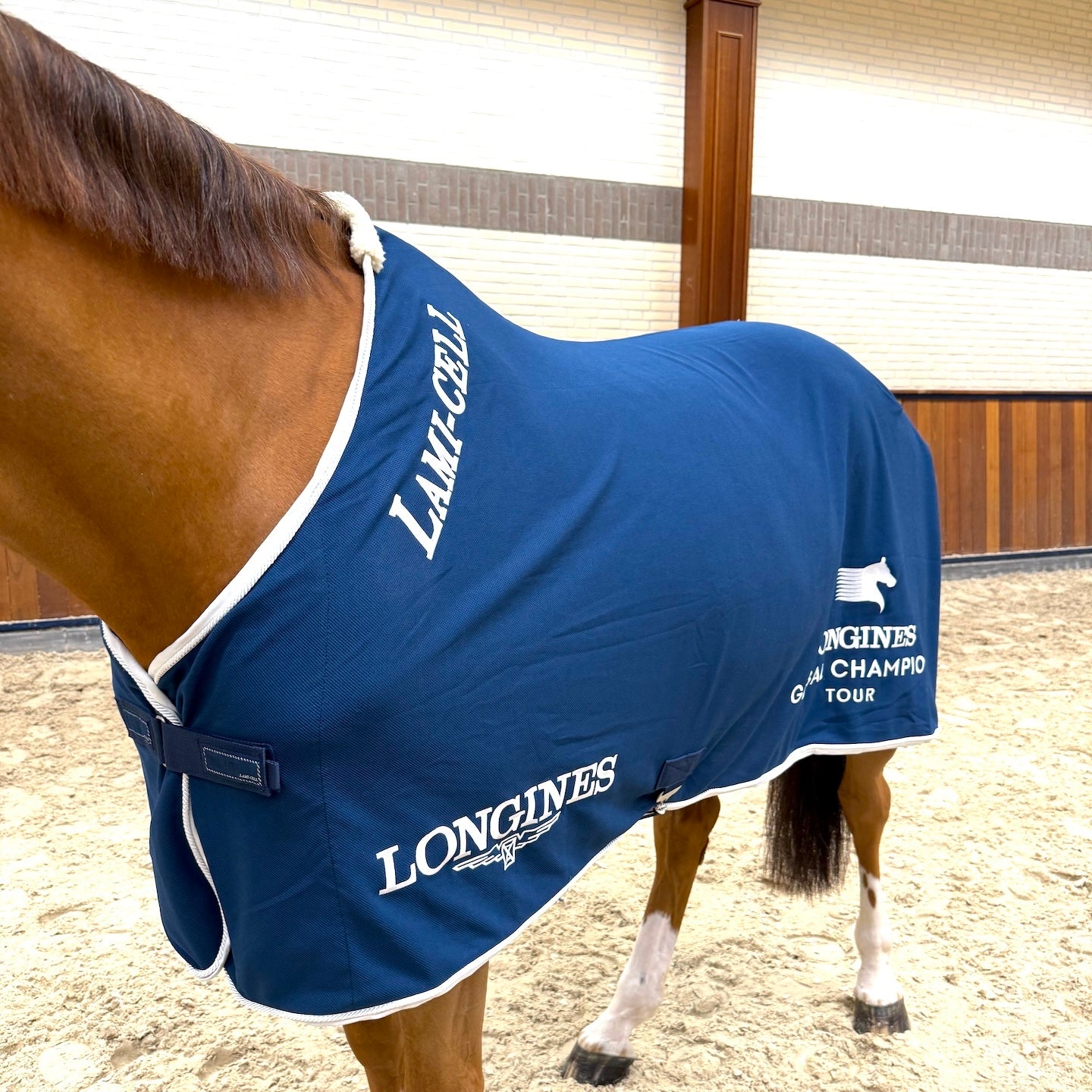 Lami-Cell LGCT Horse Rug Cooler - Navy